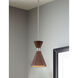 Conic 1 Light 5.5 inch Distressed Koa Mini Pendant Ceiling Light